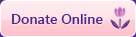 Donate Online