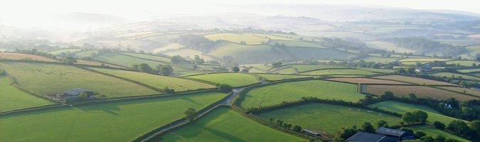 azbanner